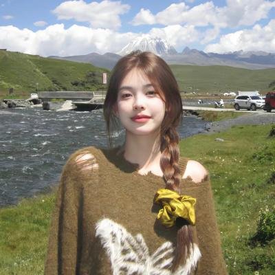 醉拳苏乞儿2003